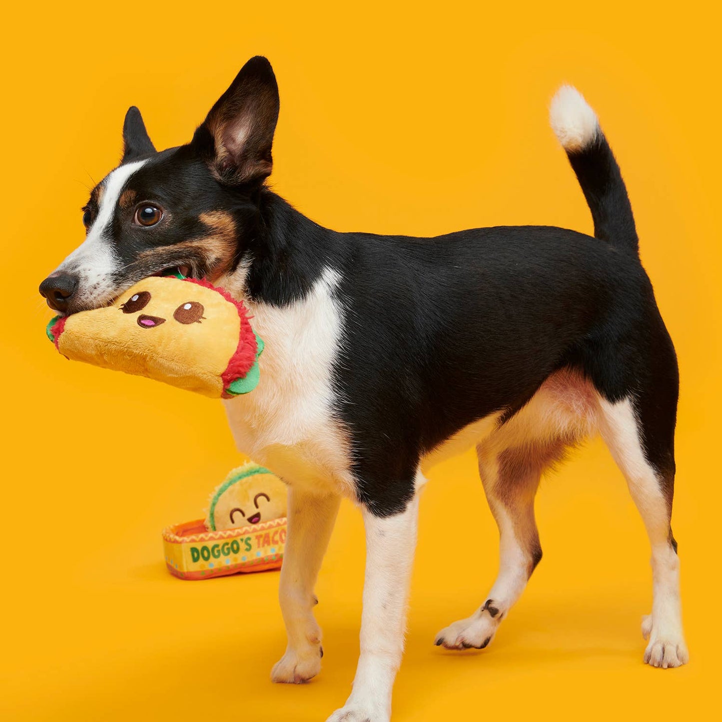 Pet Palette Distribution - BARK Doggos Tacos Plush Dog Toy