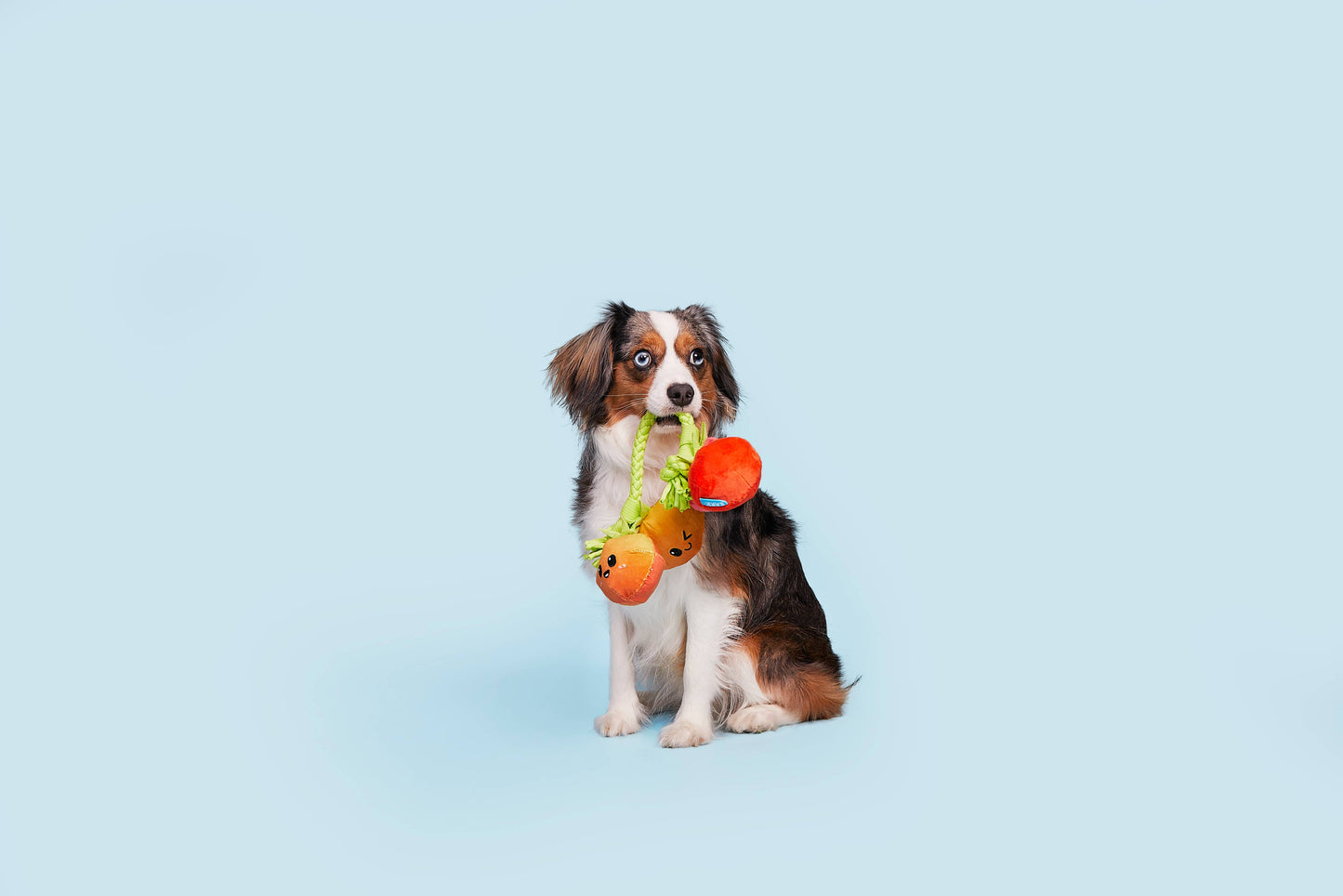 Pet Palette Distribution - BARK Hairloom Tomatoes Plush Dog Toy S/M