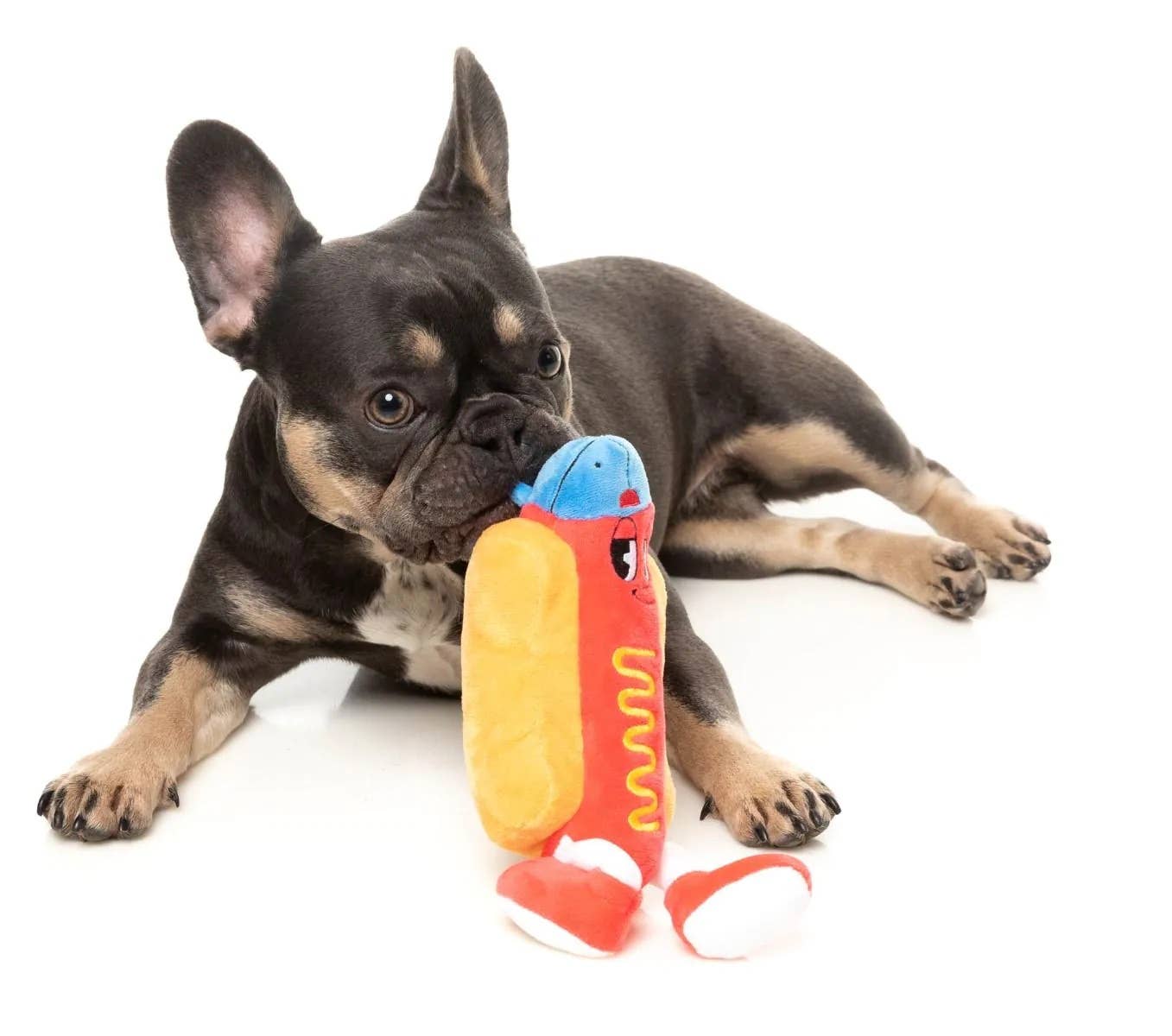 Pet Palette Distribution - FuzzYard Franky Plush Dog Toy