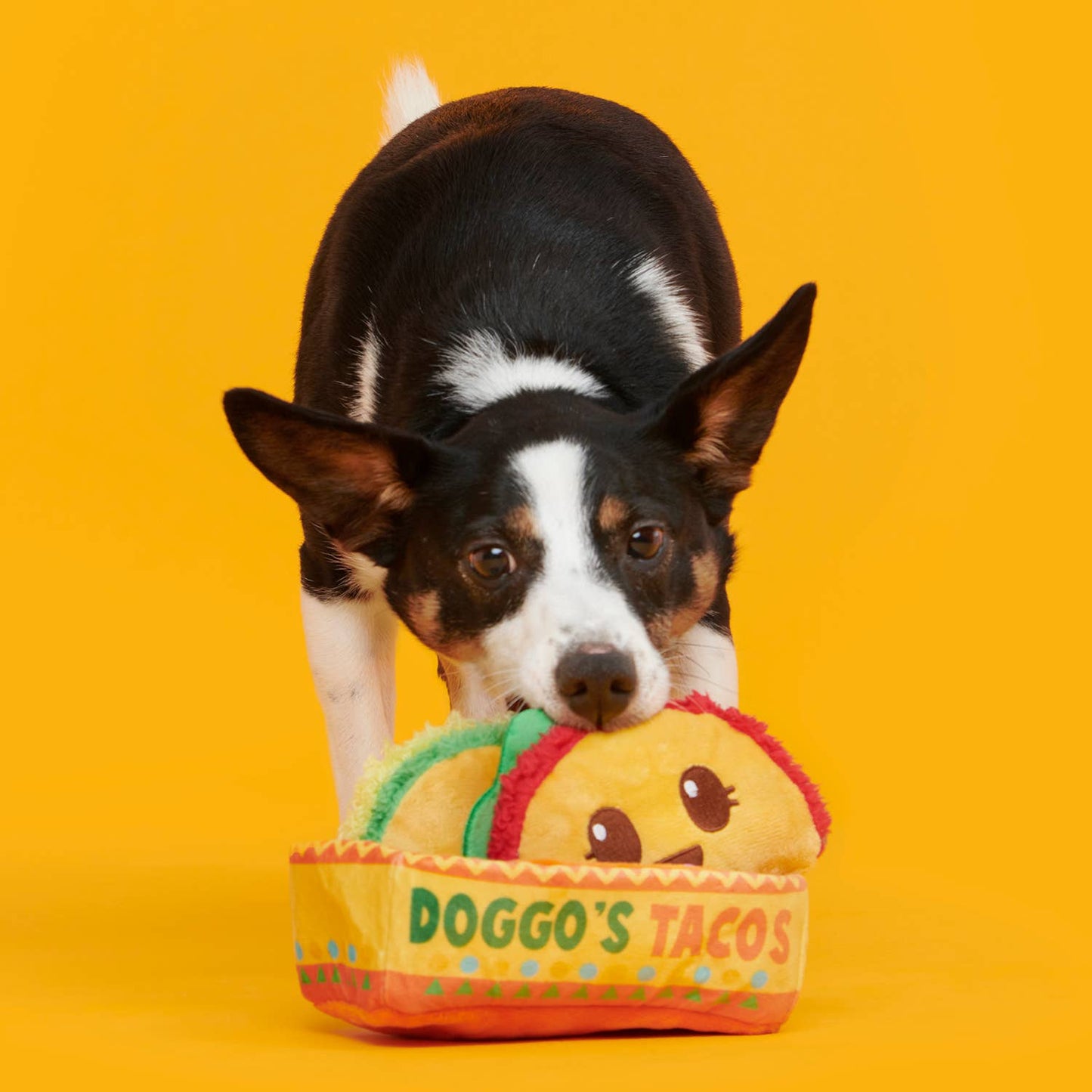 Pet Palette Distribution - BARK Doggos Tacos Plush Dog Toy