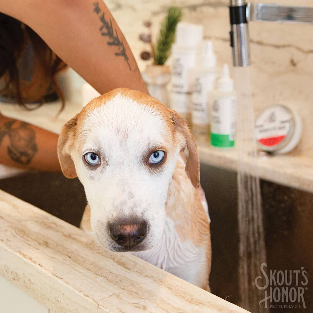 Pet Palette Distribution - Skout's Honor Probiotic Shampoo+Conditioner Dog of the Woods