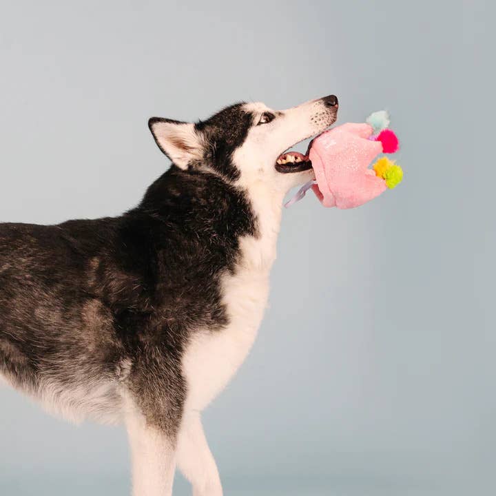 Pet Palette Distribution - PetShop by Fringe Studio If The Crown Fits Plush Dog Toy