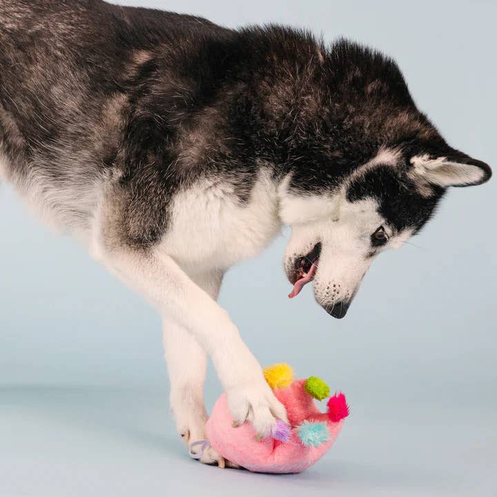 Pet Palette Distribution - PetShop by Fringe Studio If The Crown Fits Plush Dog Toy