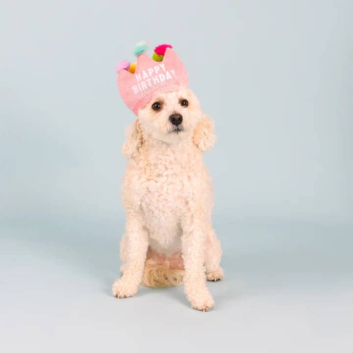 Pet Palette Distribution - PetShop by Fringe Studio If The Crown Fits Plush Dog Toy