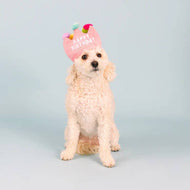 Pet Palette Distribution - PetShop by Fringe Studio If The Crown Fits Plush Dog Toy