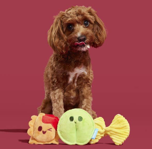 Pet Palette Distribution - BARK Ravioli Homies Plush Dog Toy