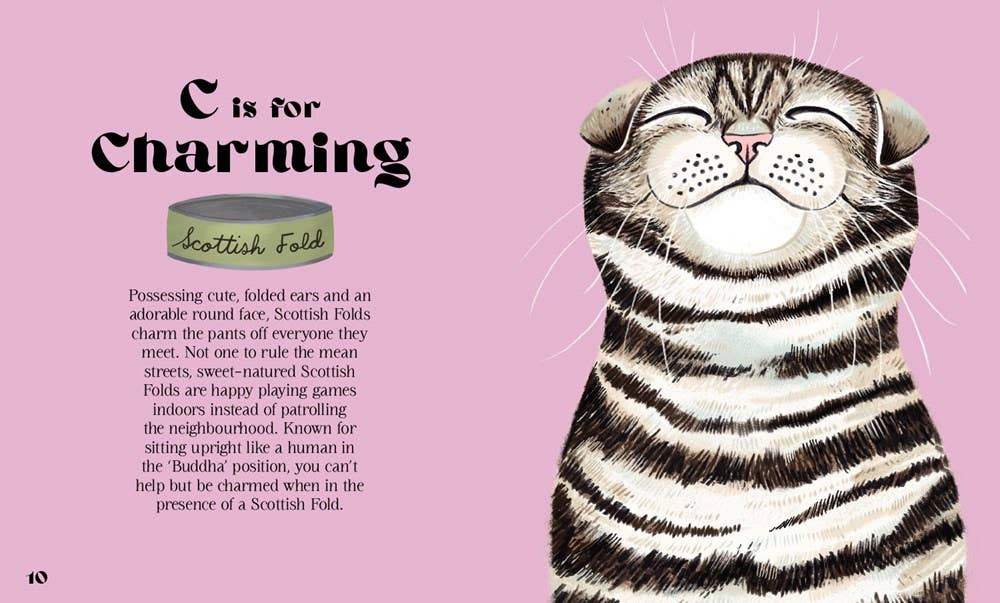 HarperCollins - Catphabet : A Cat Alphabet