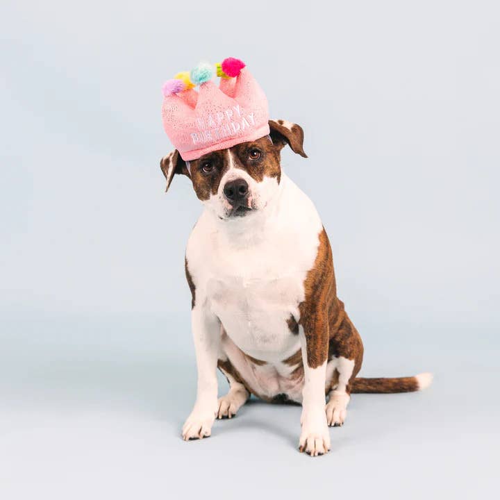 Pet Palette Distribution - PetShop by Fringe Studio If The Crown Fits Plush Dog Toy