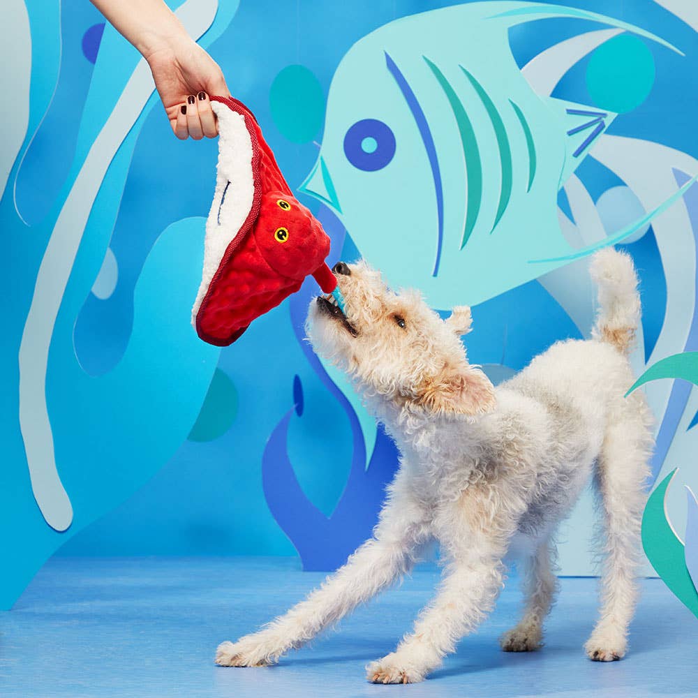 Pet Palette Distribution - BARK Sting Crosby the Ray