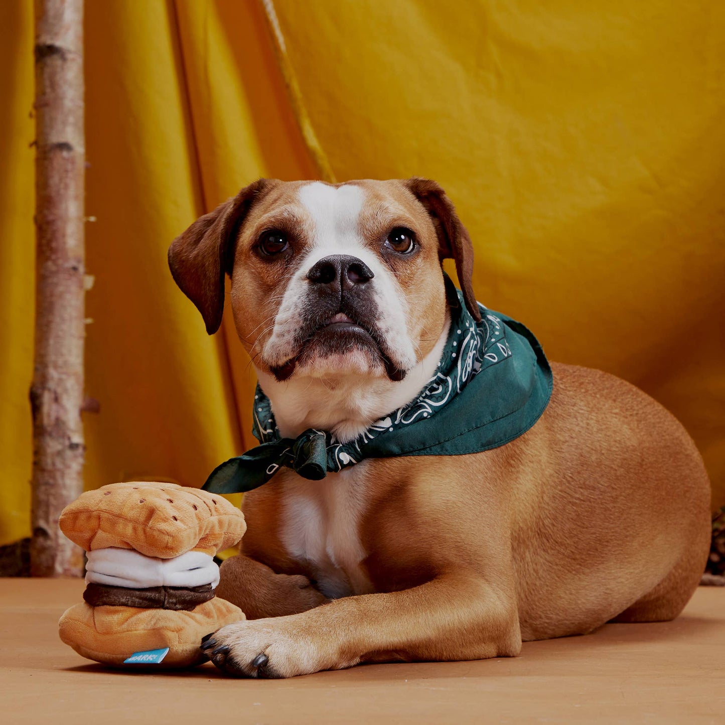 Pet Palette Distribution - BARK More S'mores Plush Dog Toy