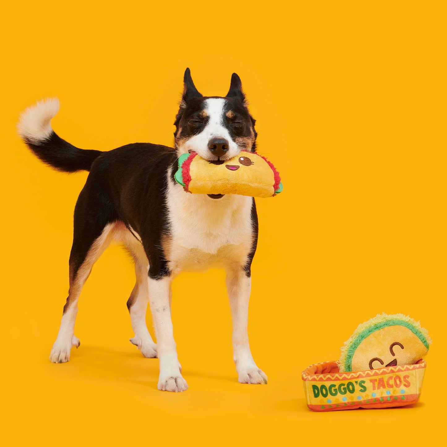 Pet Palette Distribution - BARK Doggos Tacos Plush Dog Toy