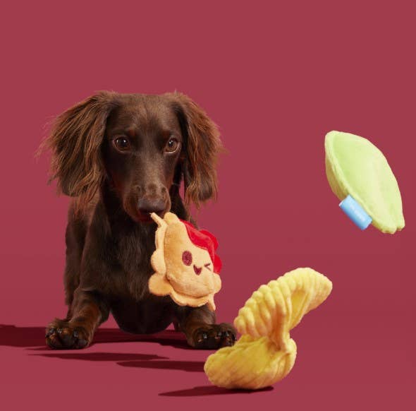 Pet Palette Distribution - BARK Ravioli Homies Plush Dog Toy