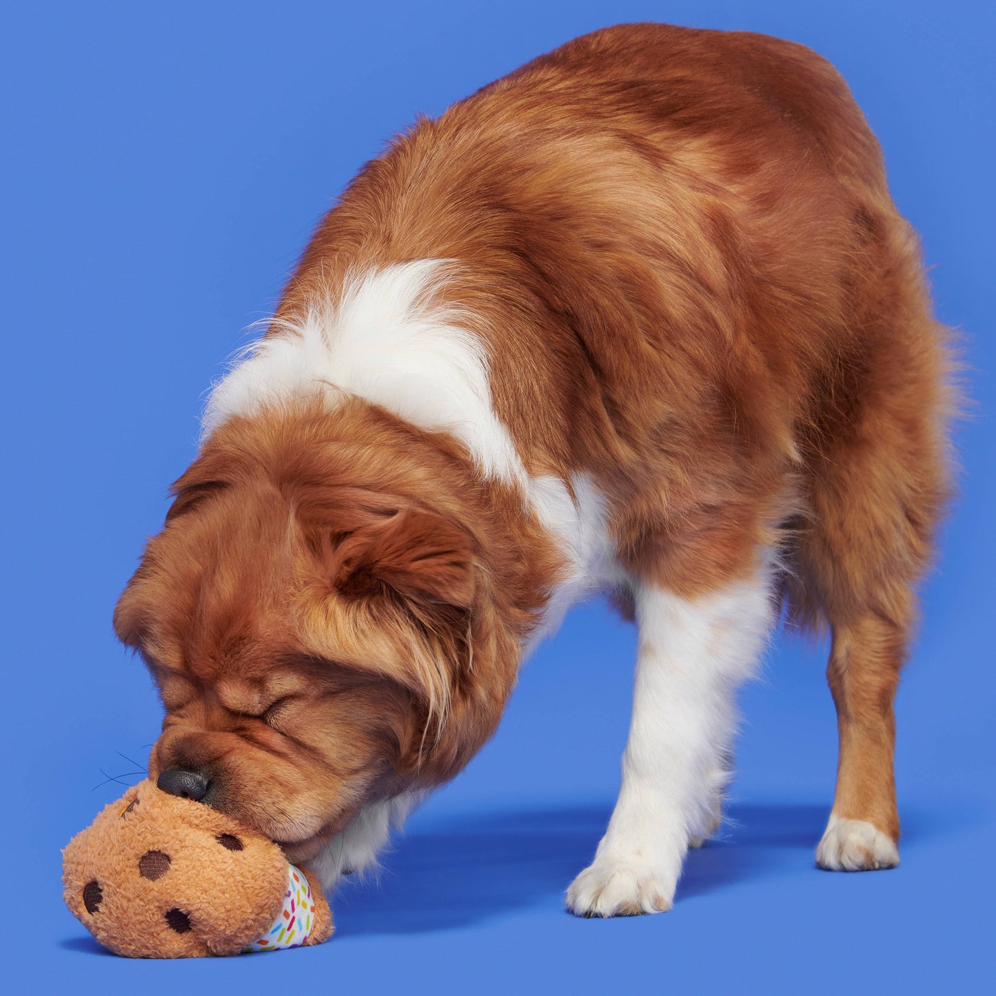 Pet Palette Distribution - BARK Funfetchi Sniffwich Plush Dog Toy