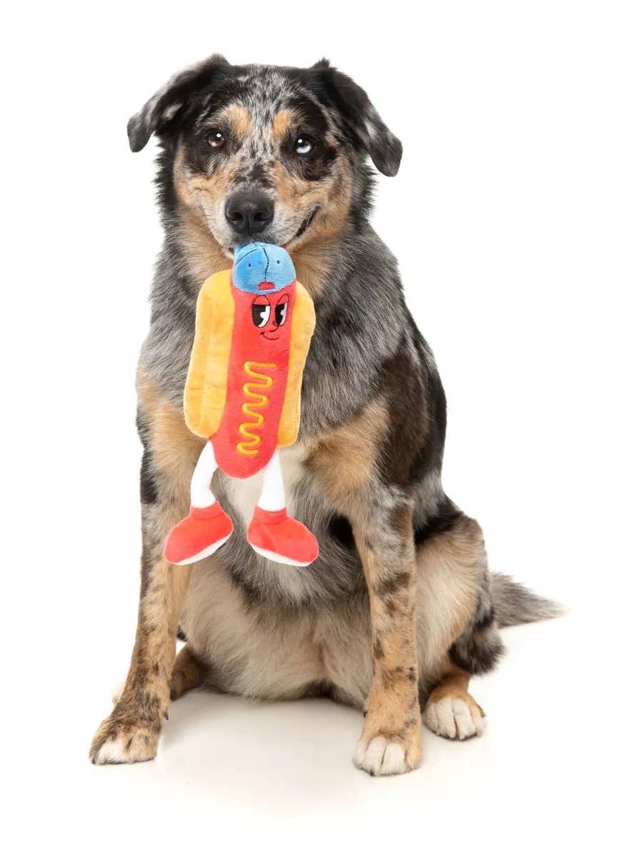 Pet Palette Distribution - FuzzYard Franky Plush Dog Toy