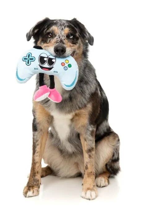 Pet Palette Distribution - FuzzYard Gamezy Plush Dog Toy