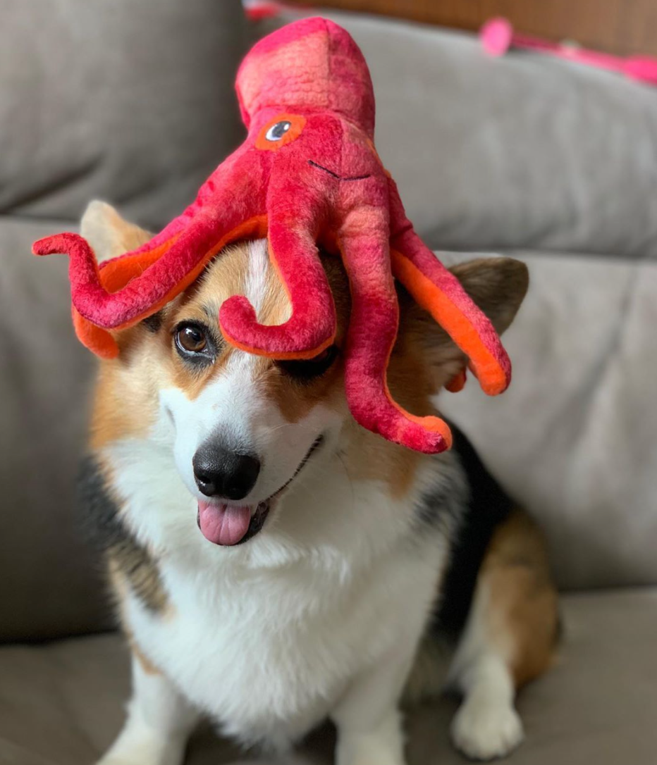 Pet Palette Distribution - SnugArooz Olivia the Octopus Plush Dog Toy 11"