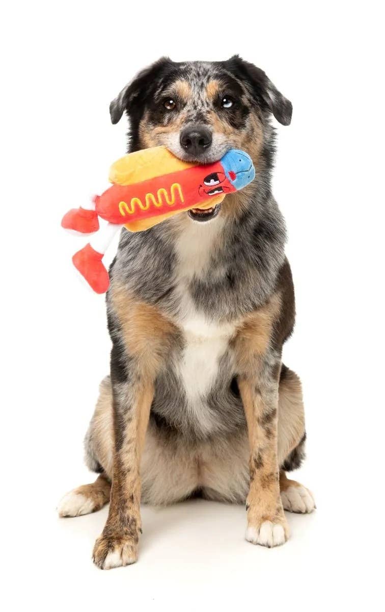 Pet Palette Distribution - FuzzYard Franky Plush Dog Toy