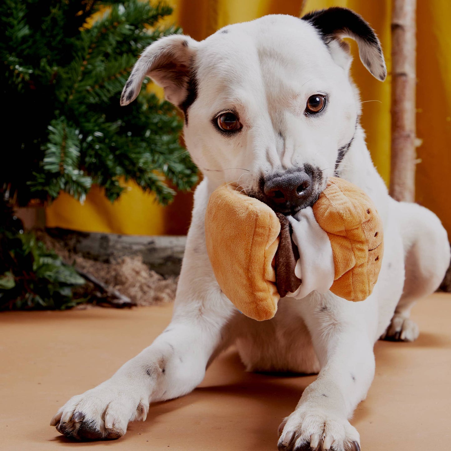 Pet Palette Distribution - BARK More S'mores Plush Dog Toy