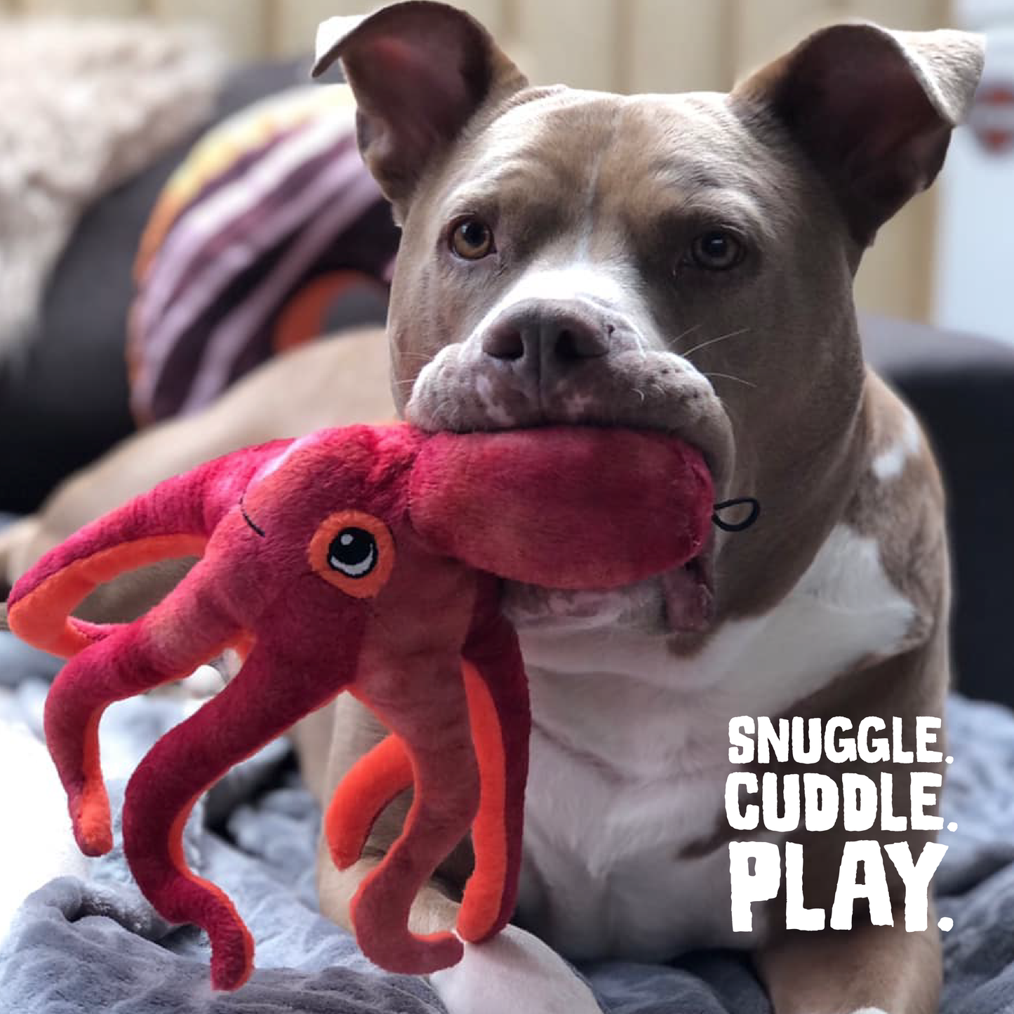 Pet Palette Distribution - SnugArooz Olivia the Octopus Plush Dog Toy 11"