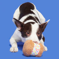 Pet Palette Distribution - BARK Funfetchi Sniffwich Plush Dog Toy