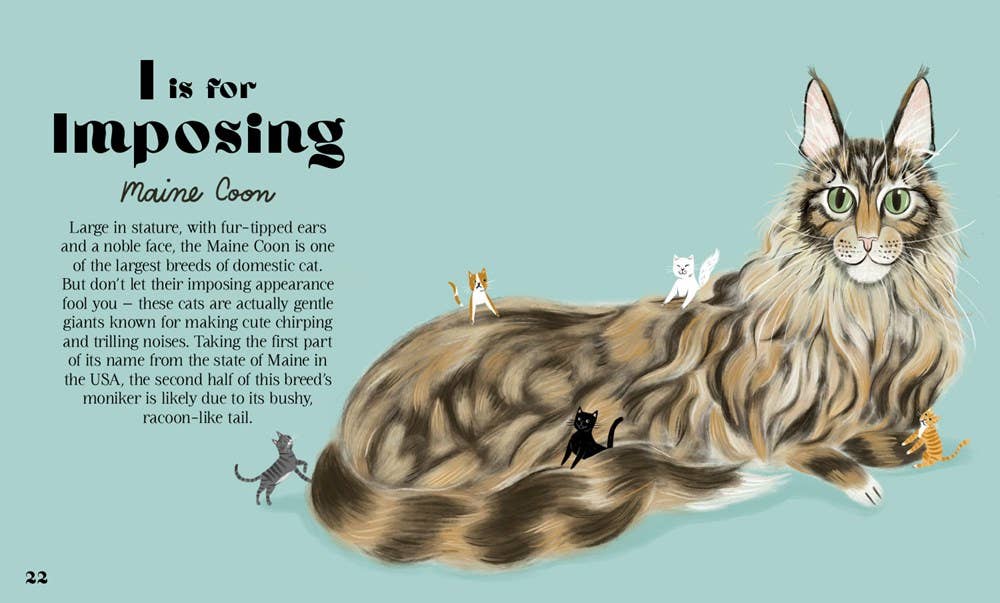 HarperCollins - Catphabet : A Cat Alphabet