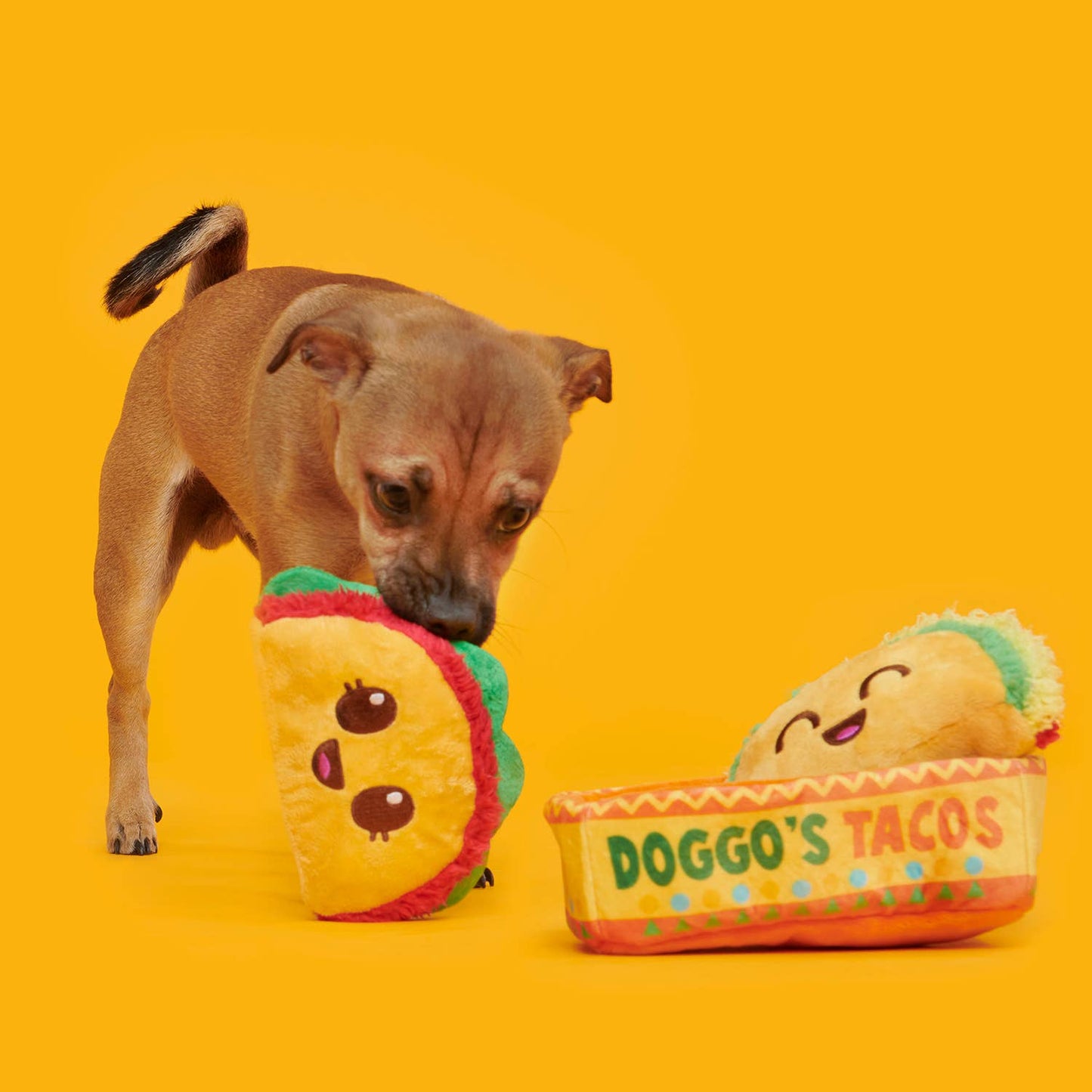 Pet Palette Distribution - BARK Doggos Tacos Plush Dog Toy
