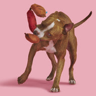 Pet Palette Distribution - BARK Lickin' Links Plush Dog Toy