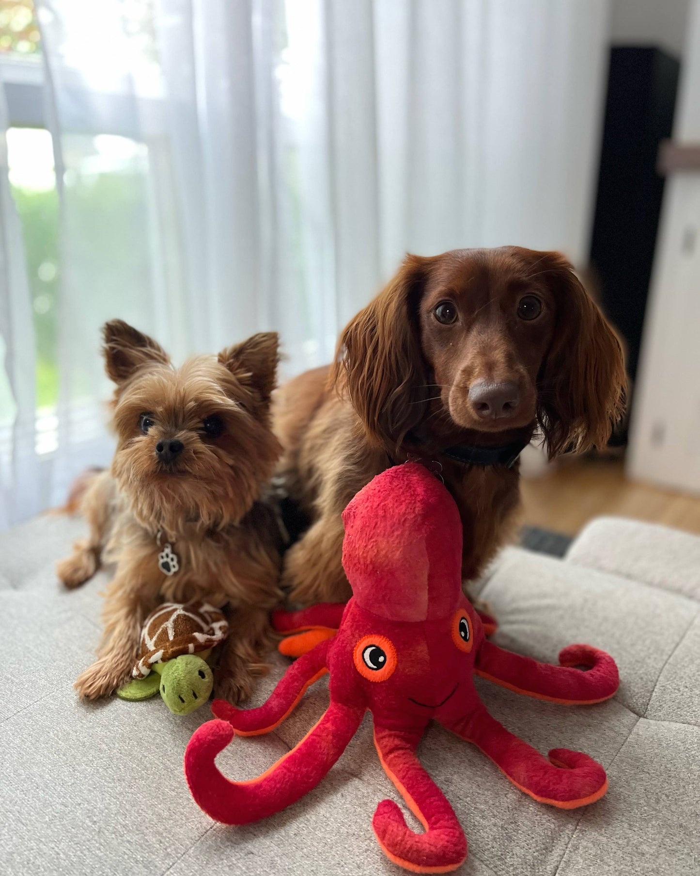Pet Palette Distribution - SnugArooz Olivia the Octopus Plush Dog Toy 11"
