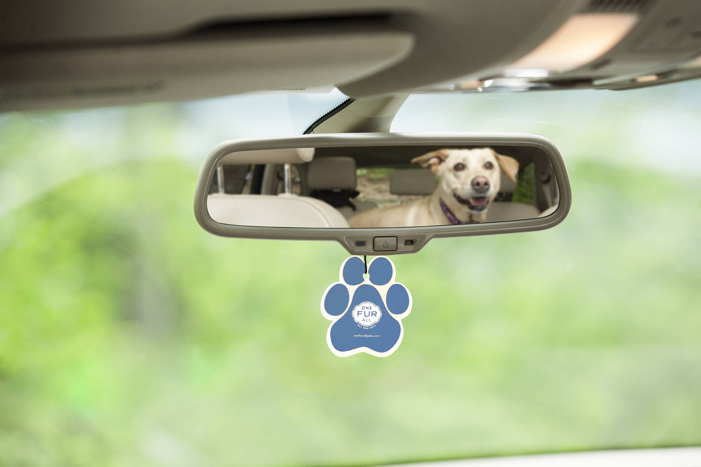 Pet House by One Fur All - Car Air Freshener Counter Top Display - Spring Mix