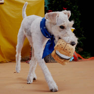 Pet Palette Distribution - BARK More S'mores Plush Dog Toy