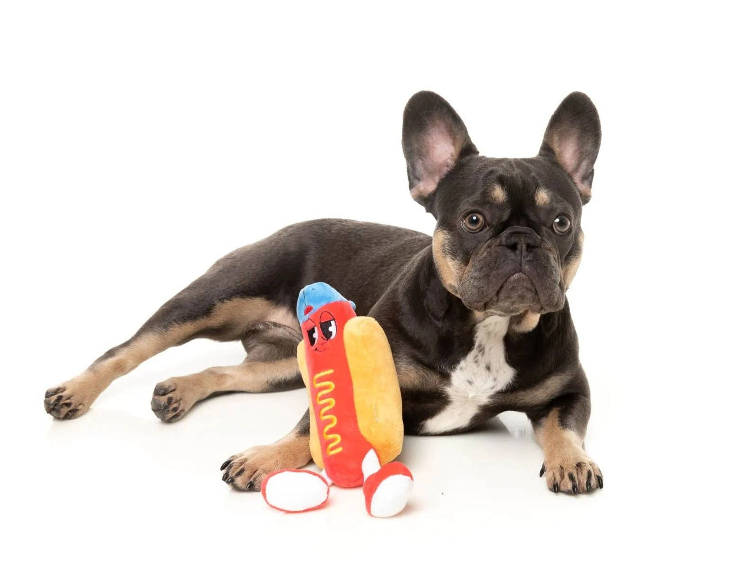 Pet Palette Distribution - FuzzYard Franky Plush Dog Toy