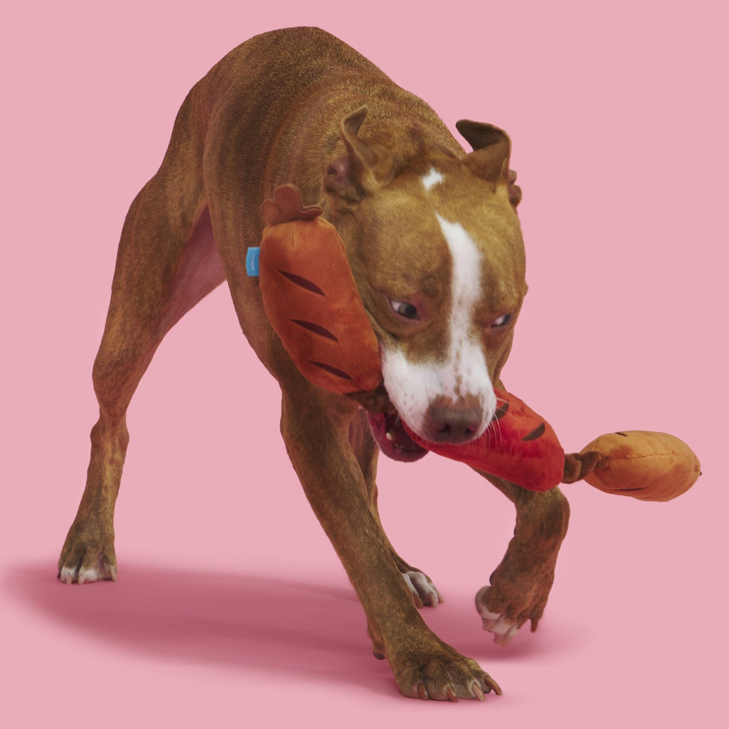 Pet Palette Distribution - BARK Lickin' Links Plush Dog Toy