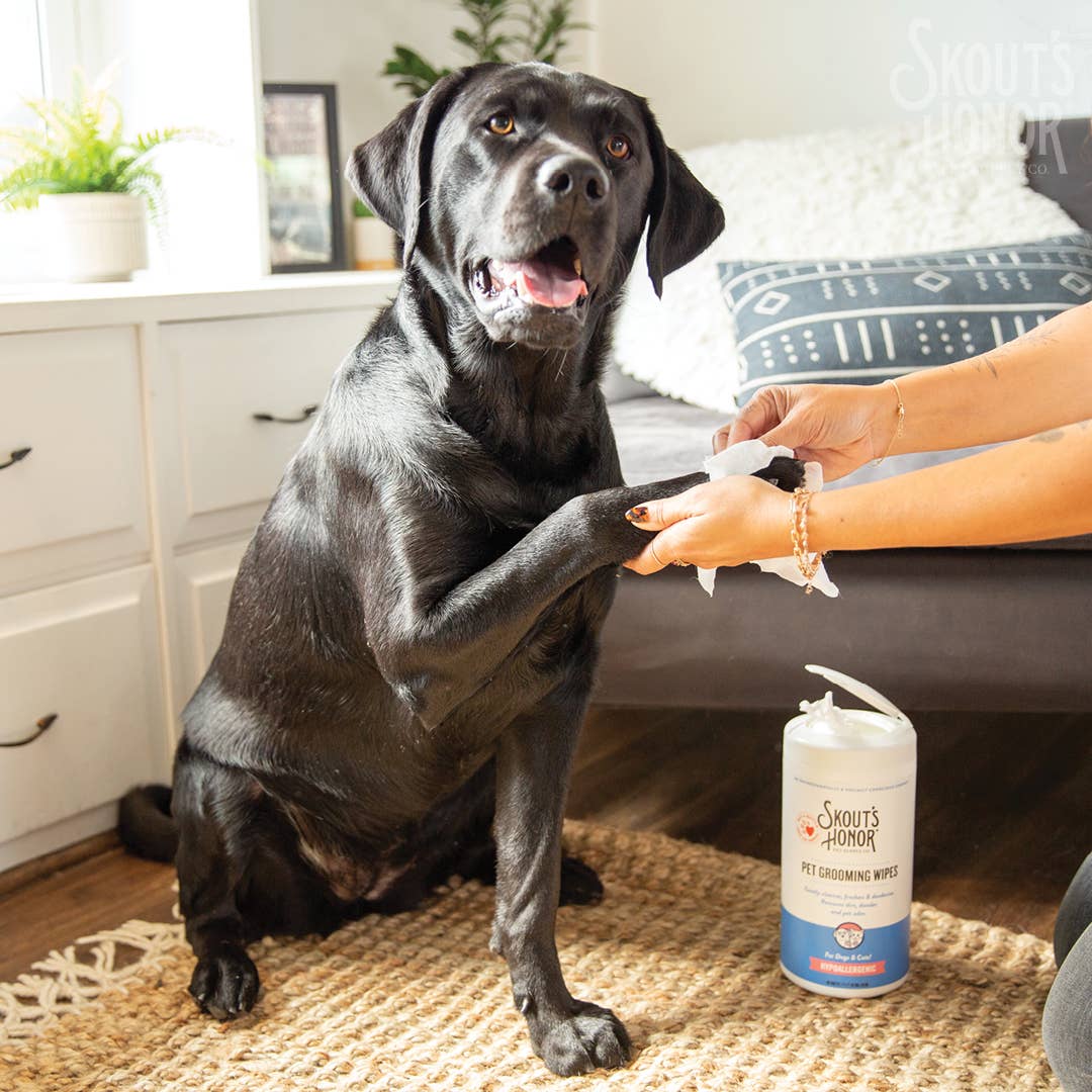 Pet Palette Distribution - Skout's Honor Pet Grooming Wipes for Dogs & Cats 80ct