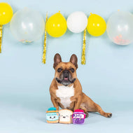 Pet Palette Distribution - PetShop by Fringe Studio Sticky Situation Dog Toy Set 3pc