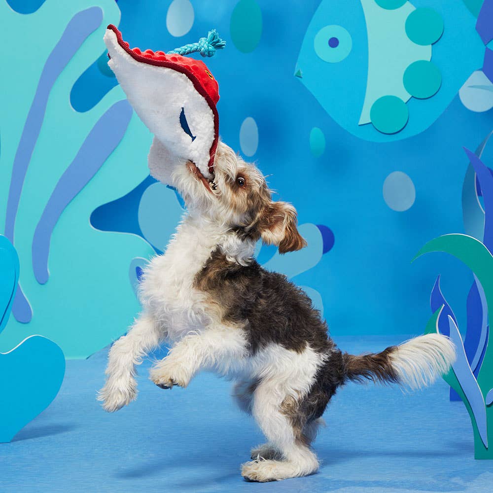 Pet Palette Distribution - BARK Sting Crosby the Ray