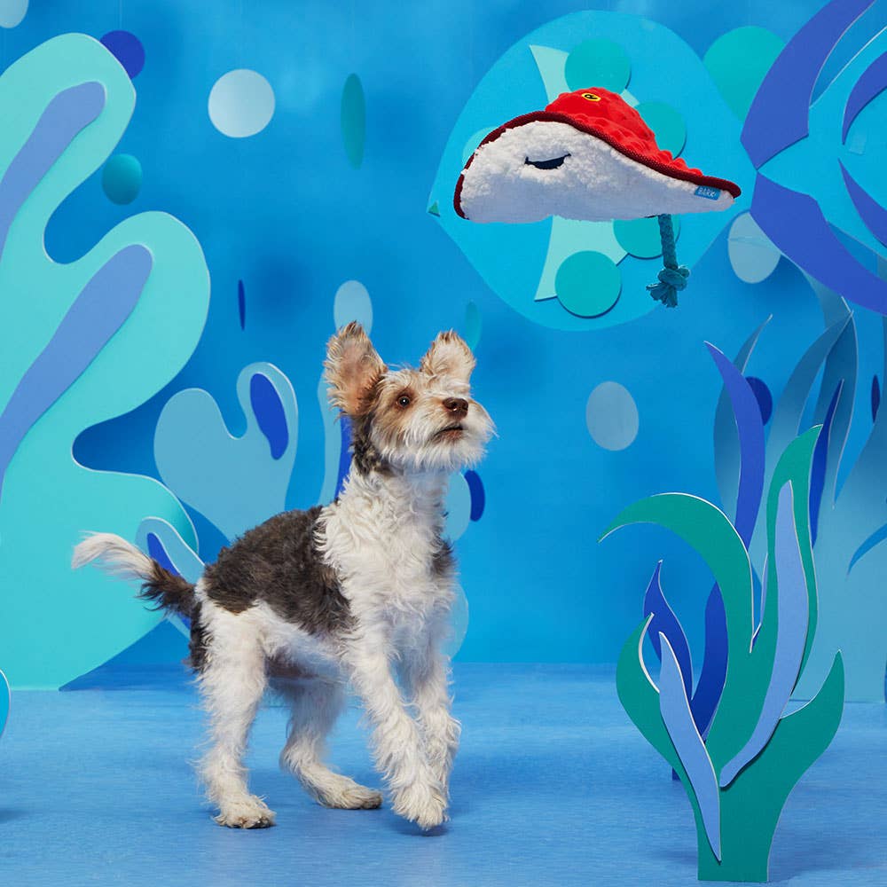 Pet Palette Distribution - BARK Sting Crosby the Ray