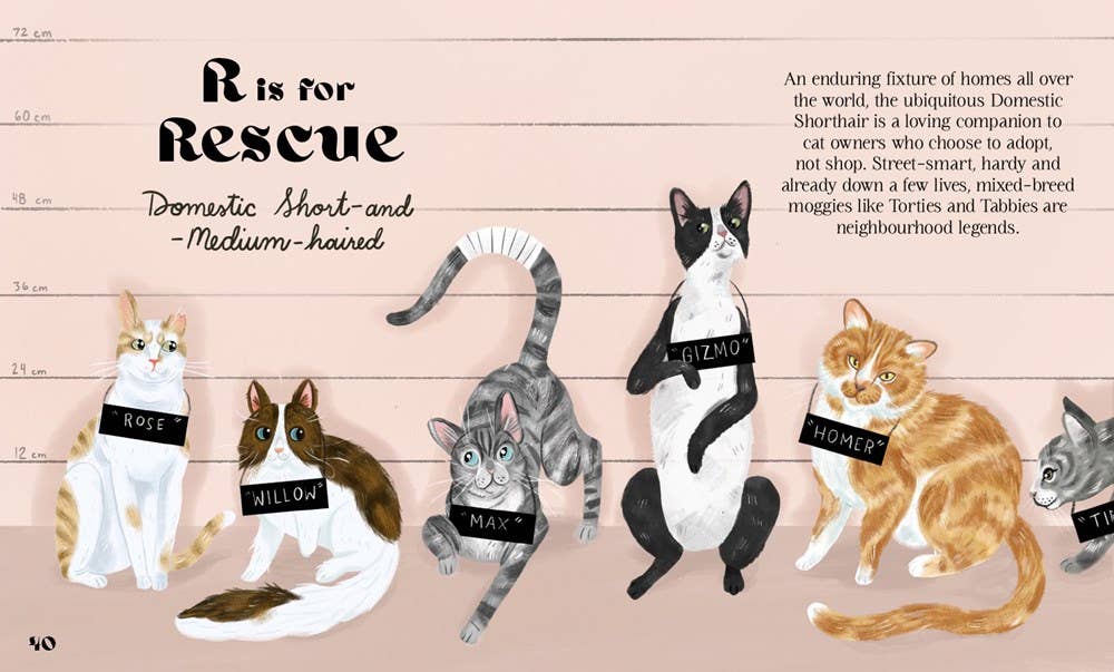 HarperCollins - Catphabet : A Cat Alphabet