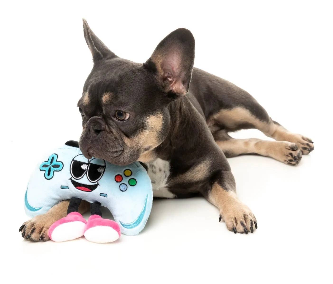 Pet Palette Distribution - FuzzYard Gamezy Plush Dog Toy
