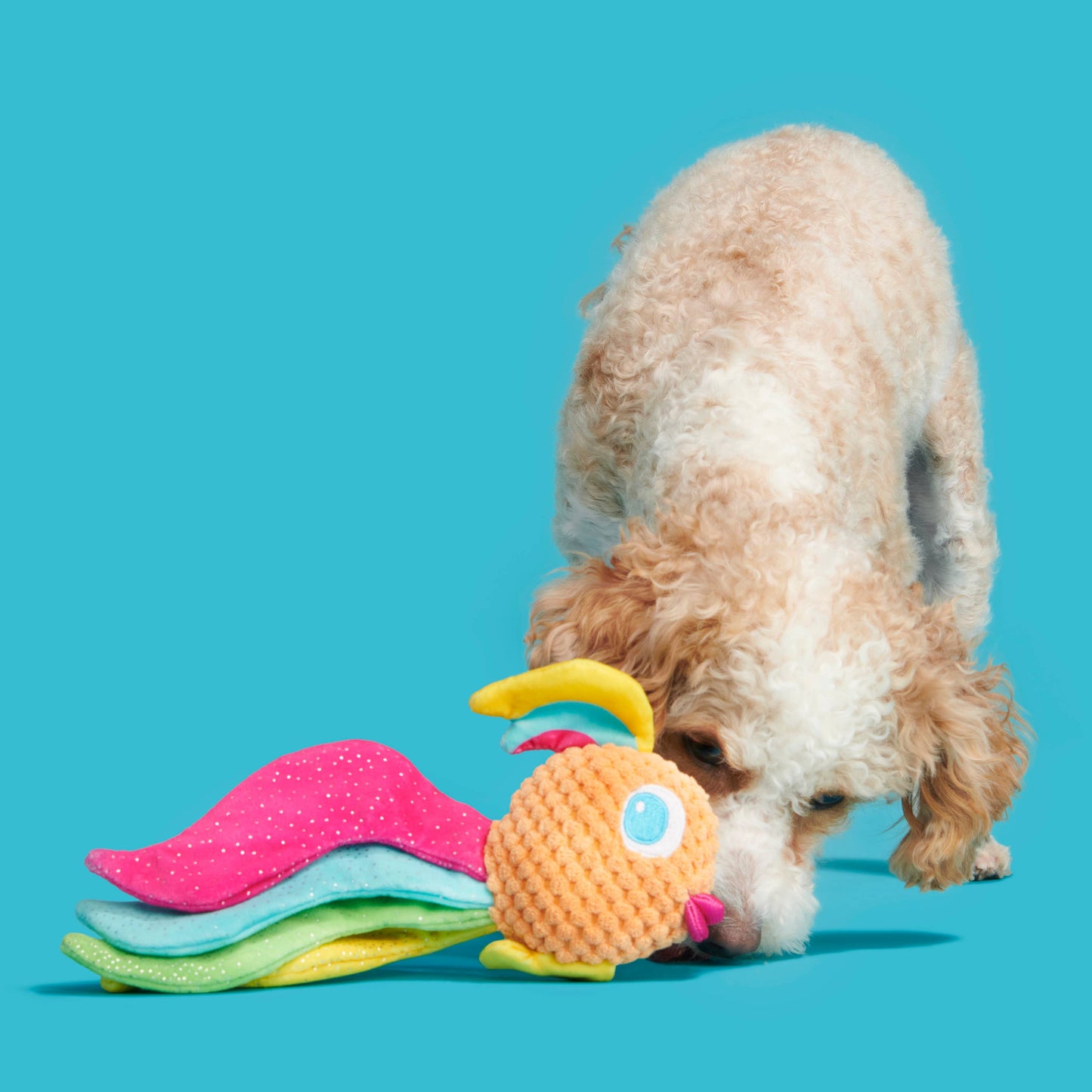 Pet Palette Distribution - BARK Ahi Tina Plush Dog Toy XS/S