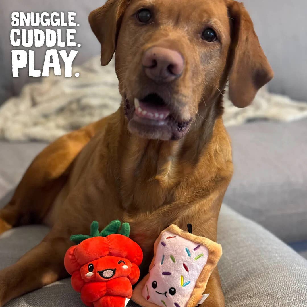 Pet Palette Distribution - SnugArooz Poptart and Raspberry Plush Dog Toy 2pk