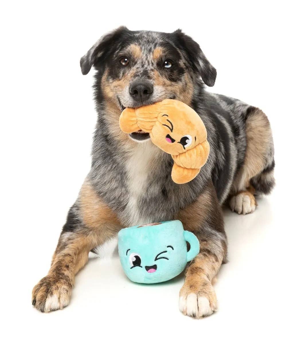 Pet Palette Distribution - FuzzYard Croissant & Cappuccino Plush Dog Toy 2pk