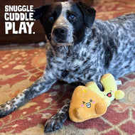 Pet Palette Distribution - SnugArooz Mac and Cheese Plush Dog Toy 2pk