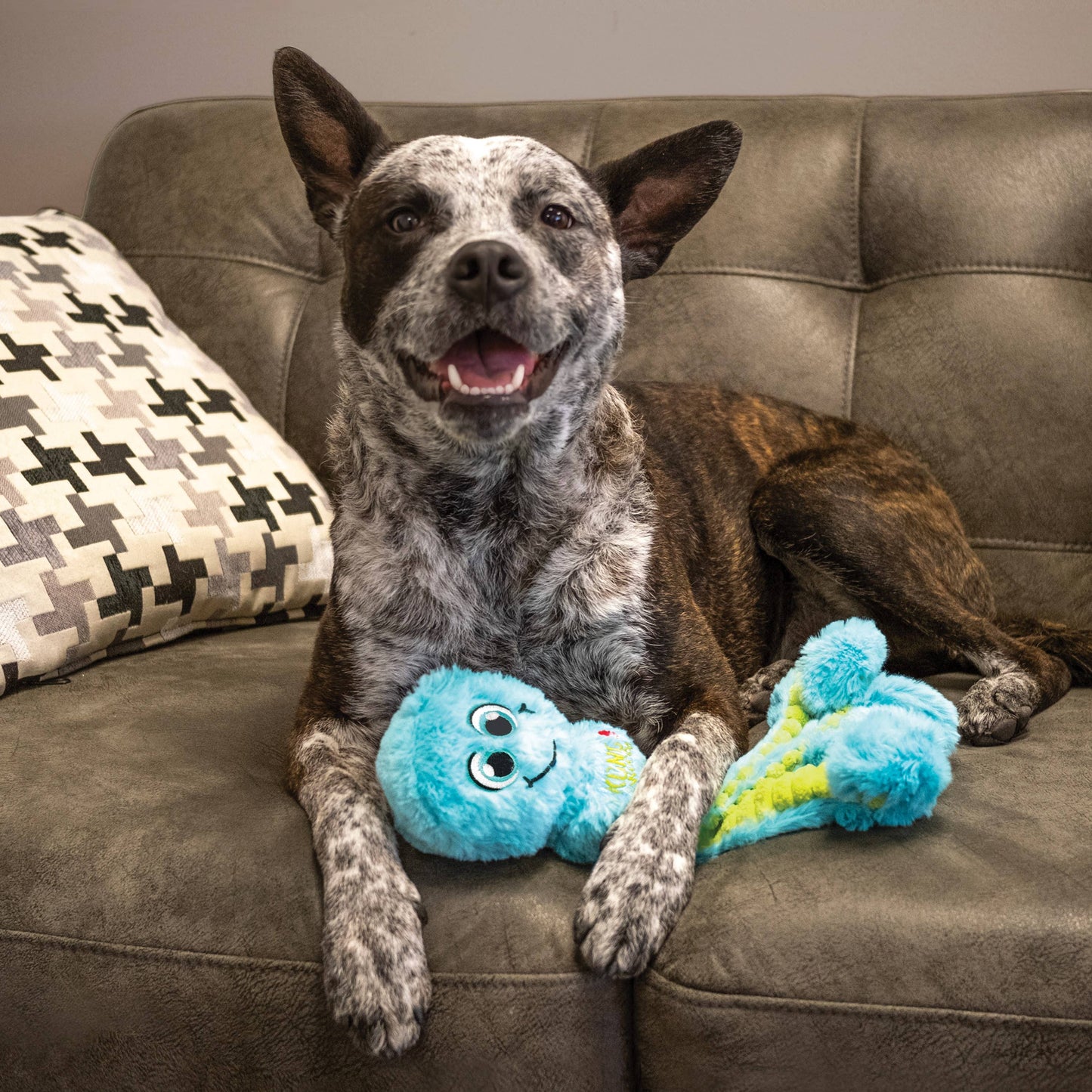 Pet Palette Distribution - KONG® Wubba Octops Dog Tug Toy Assorted Large