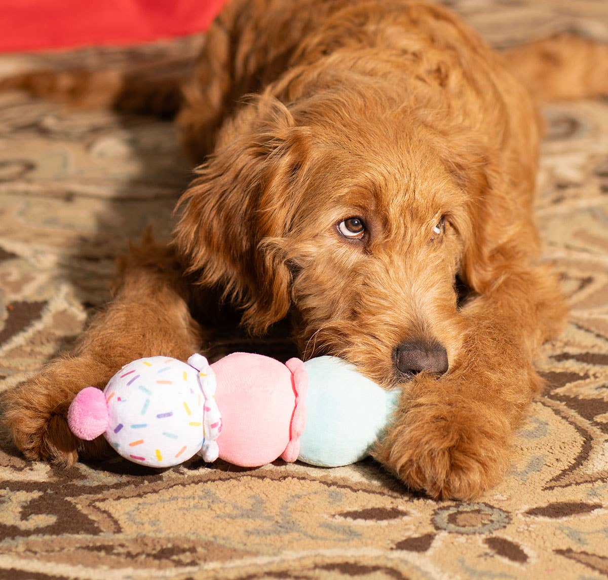 Pet Palette Distribution - ThoozyPet Birthday 3-Scoop Ice Cream Cone Plush Dog Toy 12"